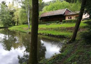 étang de pêche - amicale des pecheurs - Soultzbach les Bains