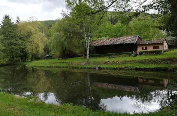 étang de pêche - amicale des pecheurs - Soultzbach les Bains