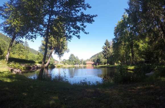 Pêche à l'étang de Stosswihr - Vallée de Munster
