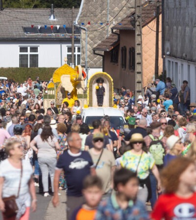 En Alsace Liesel vous informe des évènements comme la fête des jonquilles