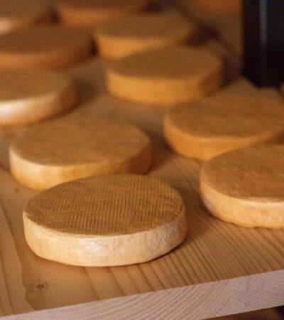 Le fromage AOP de la vallée de Munster