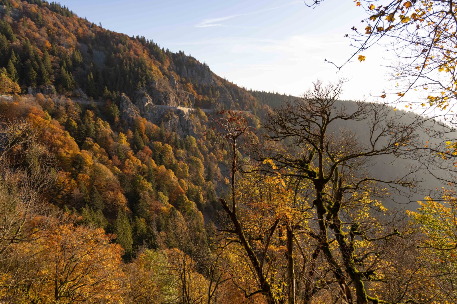 Paysage automnale du sentier des roches