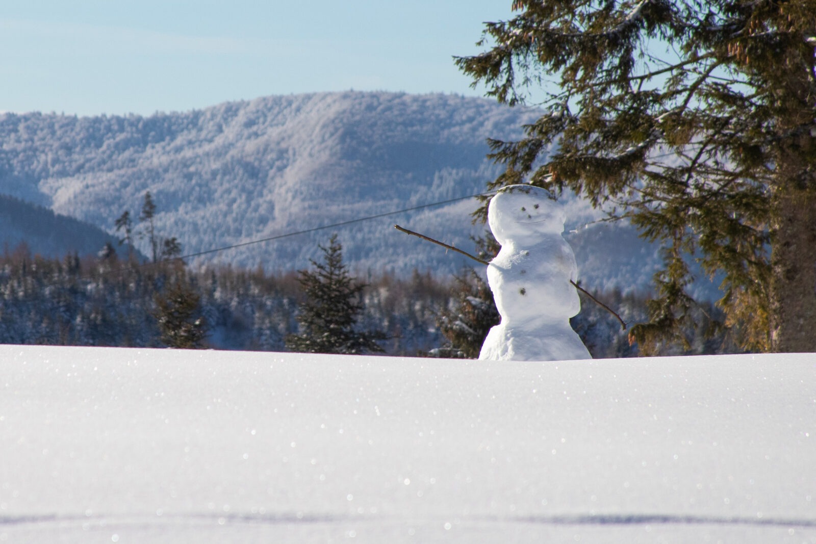 Paysage enneigé avec un bonhomme de neige