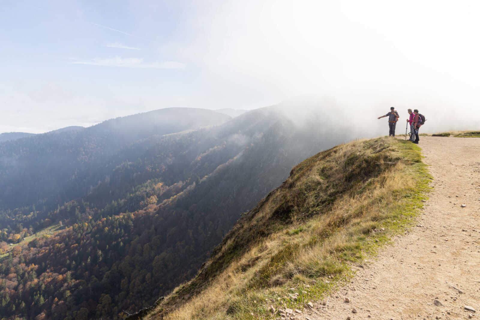 Vue automnale dans la vallée de Munster