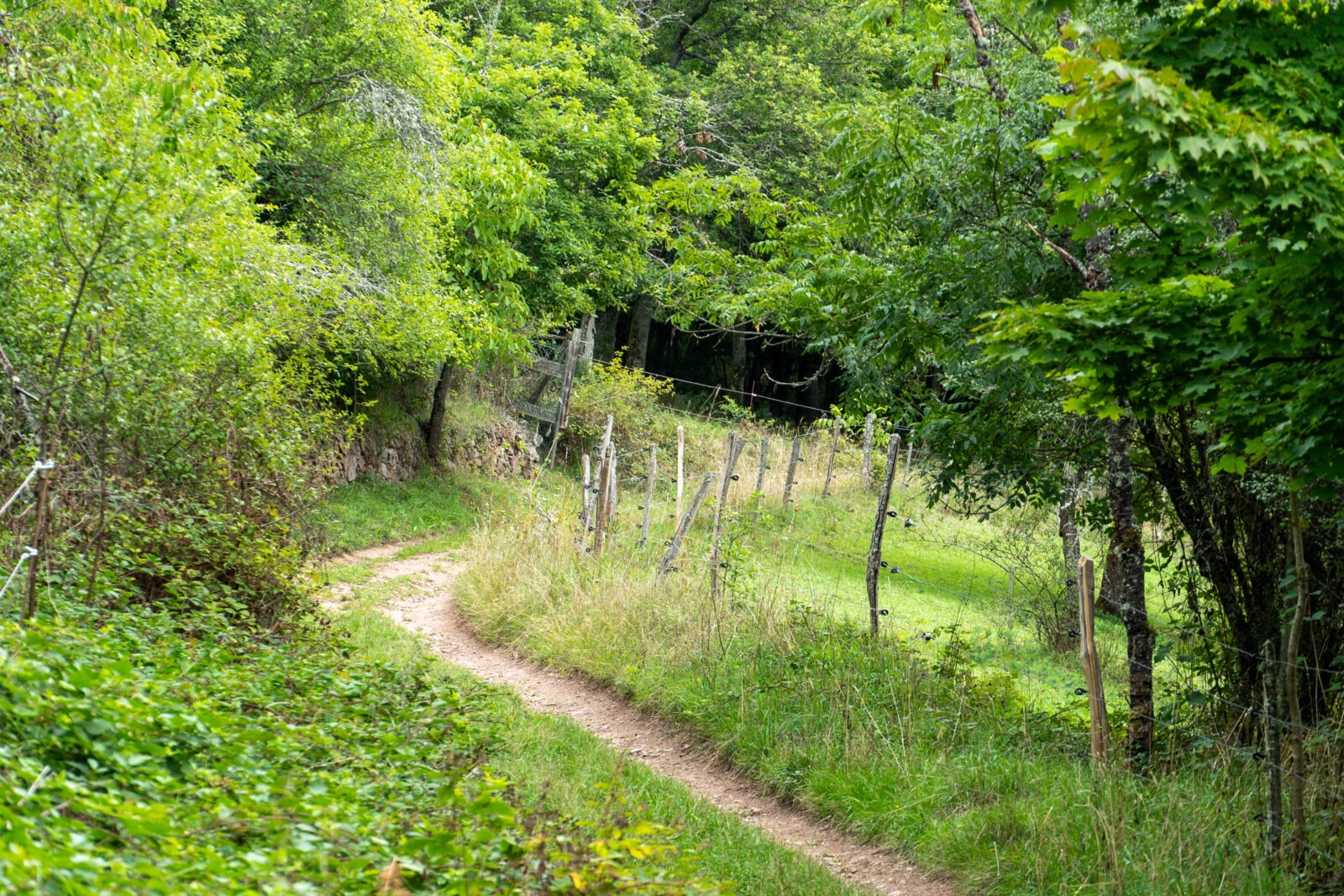 Sentier de l'eau à gunsbach