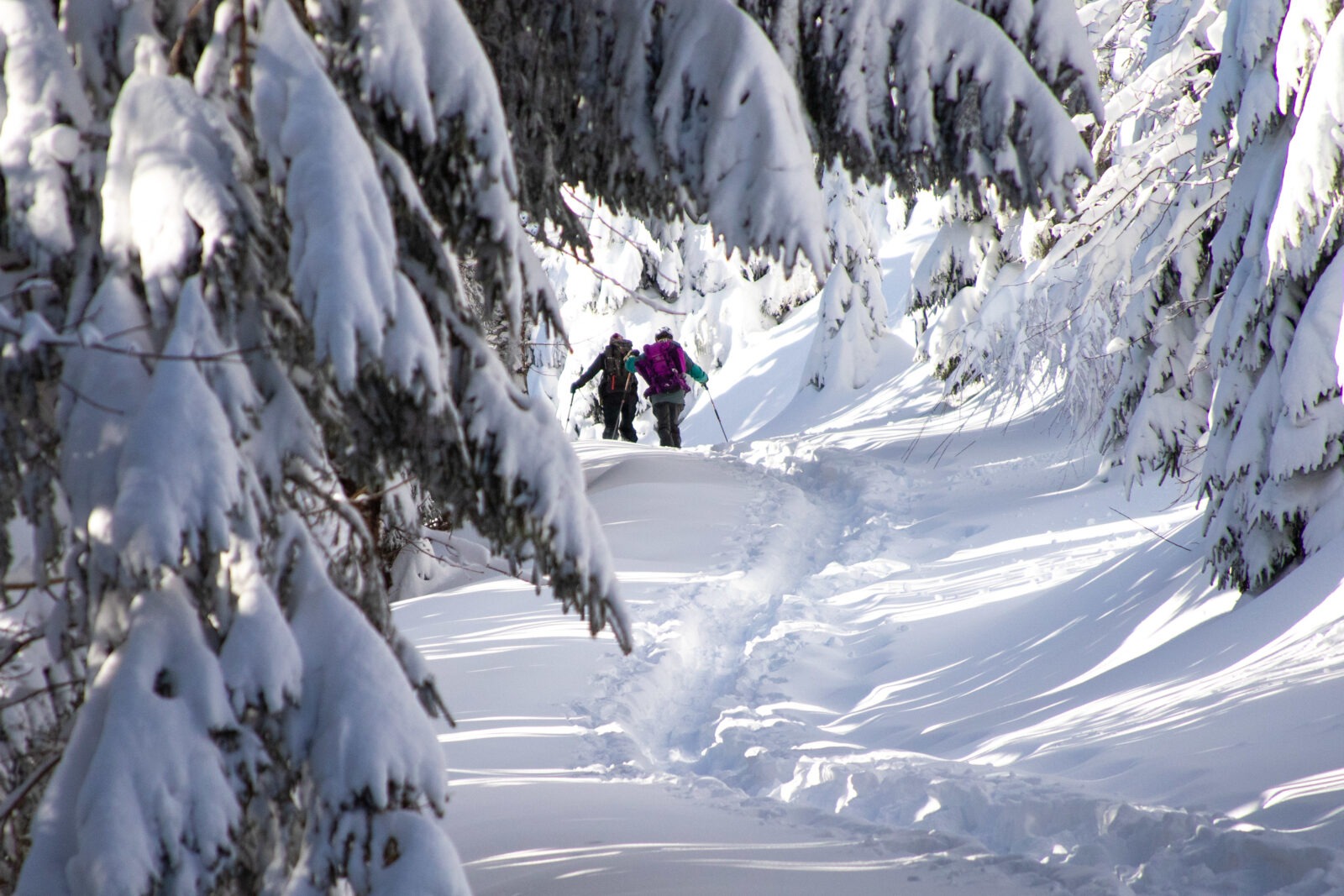 Pratique du ski de randonnées à munster