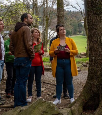 Activité de groupe dans la vallée de munster