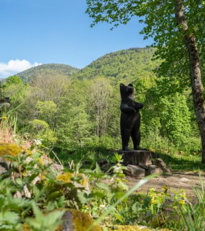 Décors fleuri du printemps