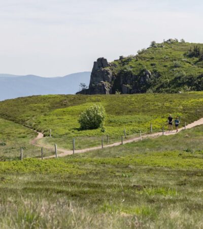 paysage naturel de la vallée de munster