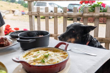 Kiana le bauceron face à un repas de ferme auberge