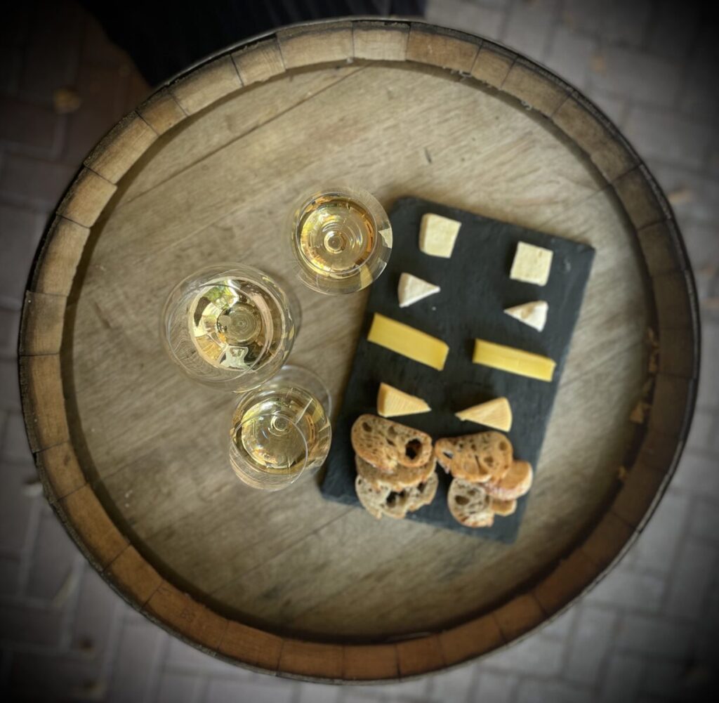 Plateau de fromage alsaciens accompagnés de vin