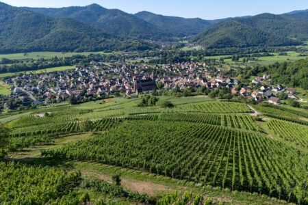 Vue drone du vignoble de wihr au val