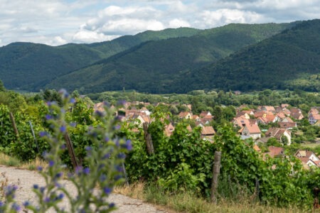 Balade romantique dans le vignoble de wihr-au-val
