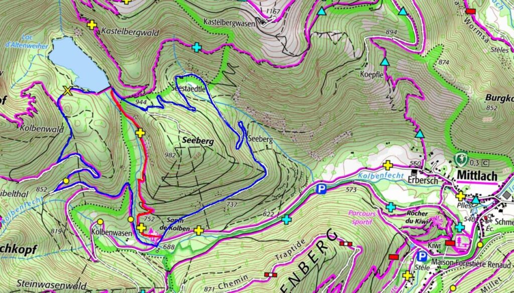 Déviation Sapin du Kolben - Lac Altenweiher