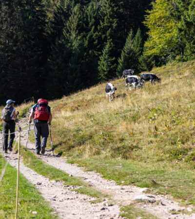 itinérance dans la vallée de munster
