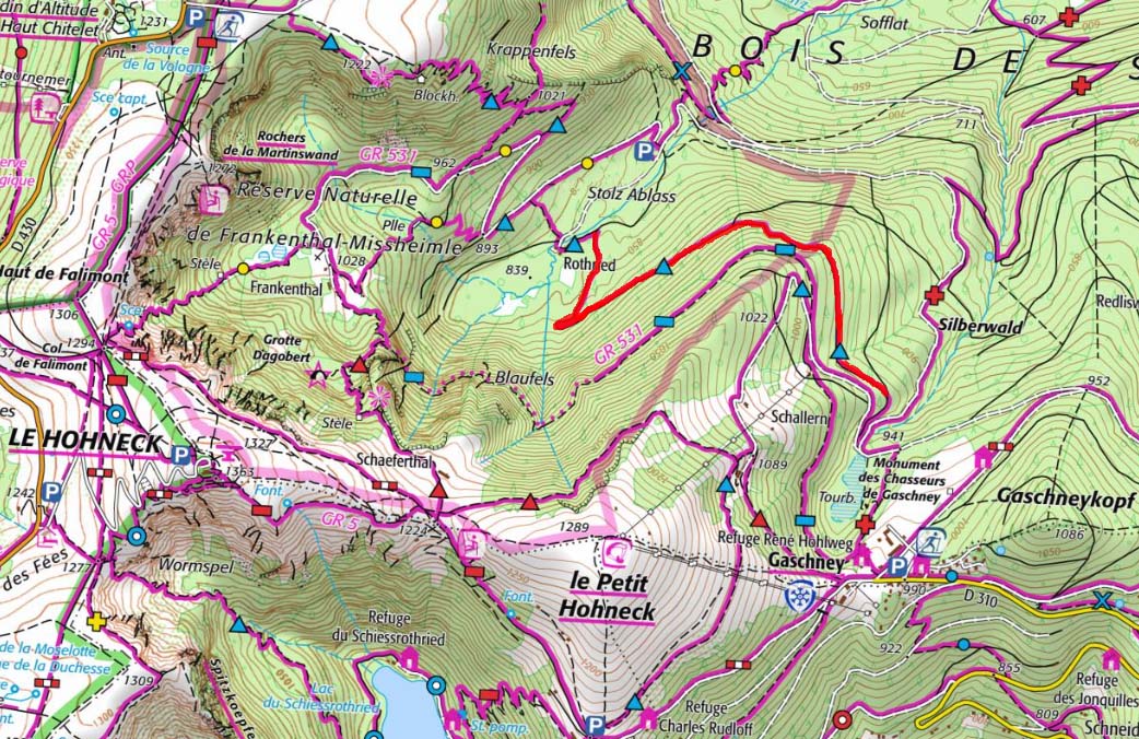Travaux forestiers entre Gaschneyried et Rothried