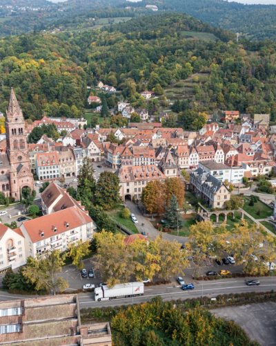 vue-munster
