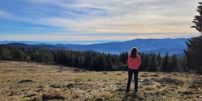 Sophrologie et bain de forêt